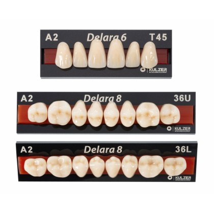 Kulzer DELARA 6/8 Acrylic Teeth - 3 Layer Highly Aesthetic CAD CAM Moulds – 1 Card
